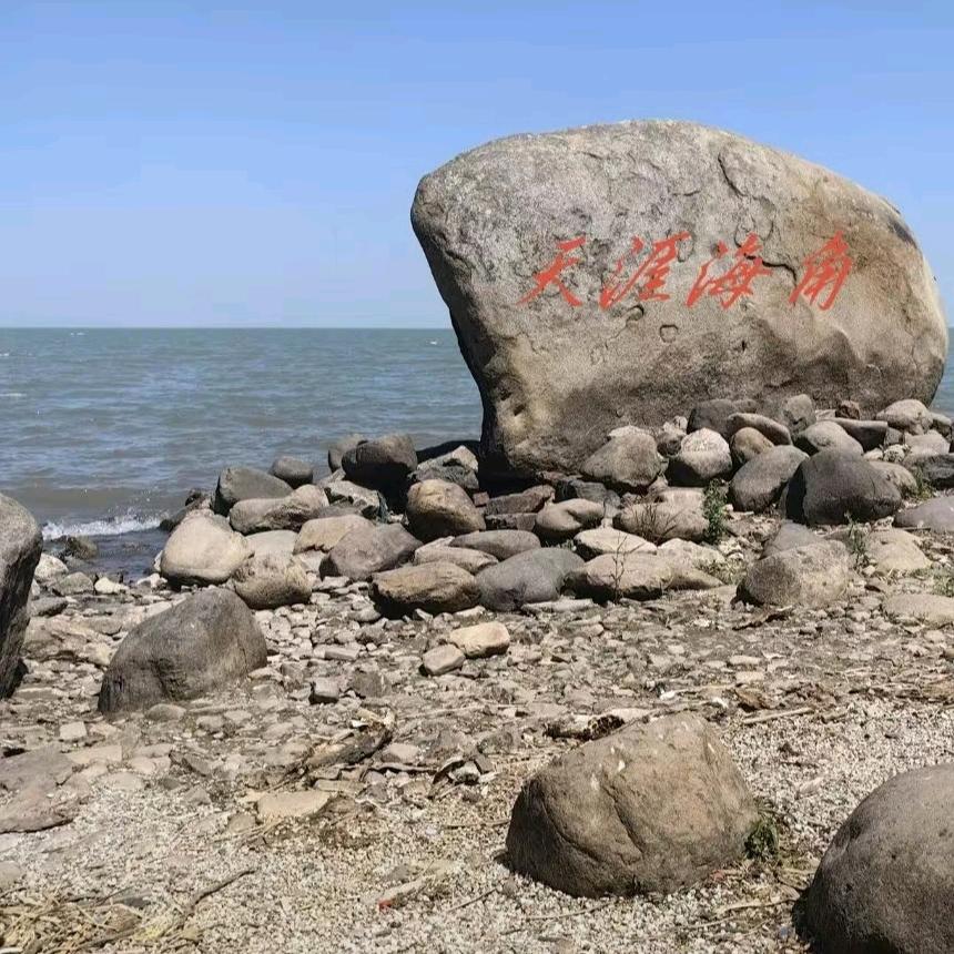 〈顺其自然〉