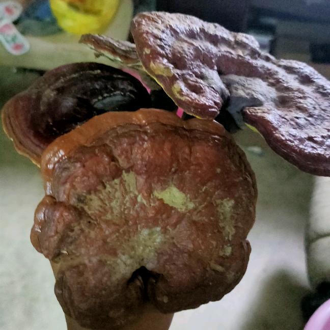 霸气💪💪👍👍