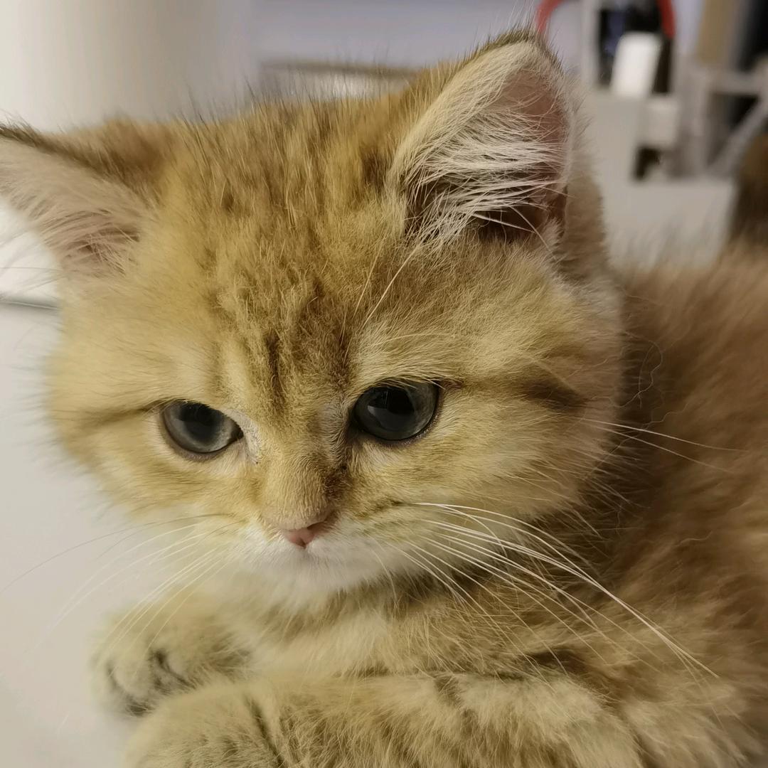 .        小 张      .