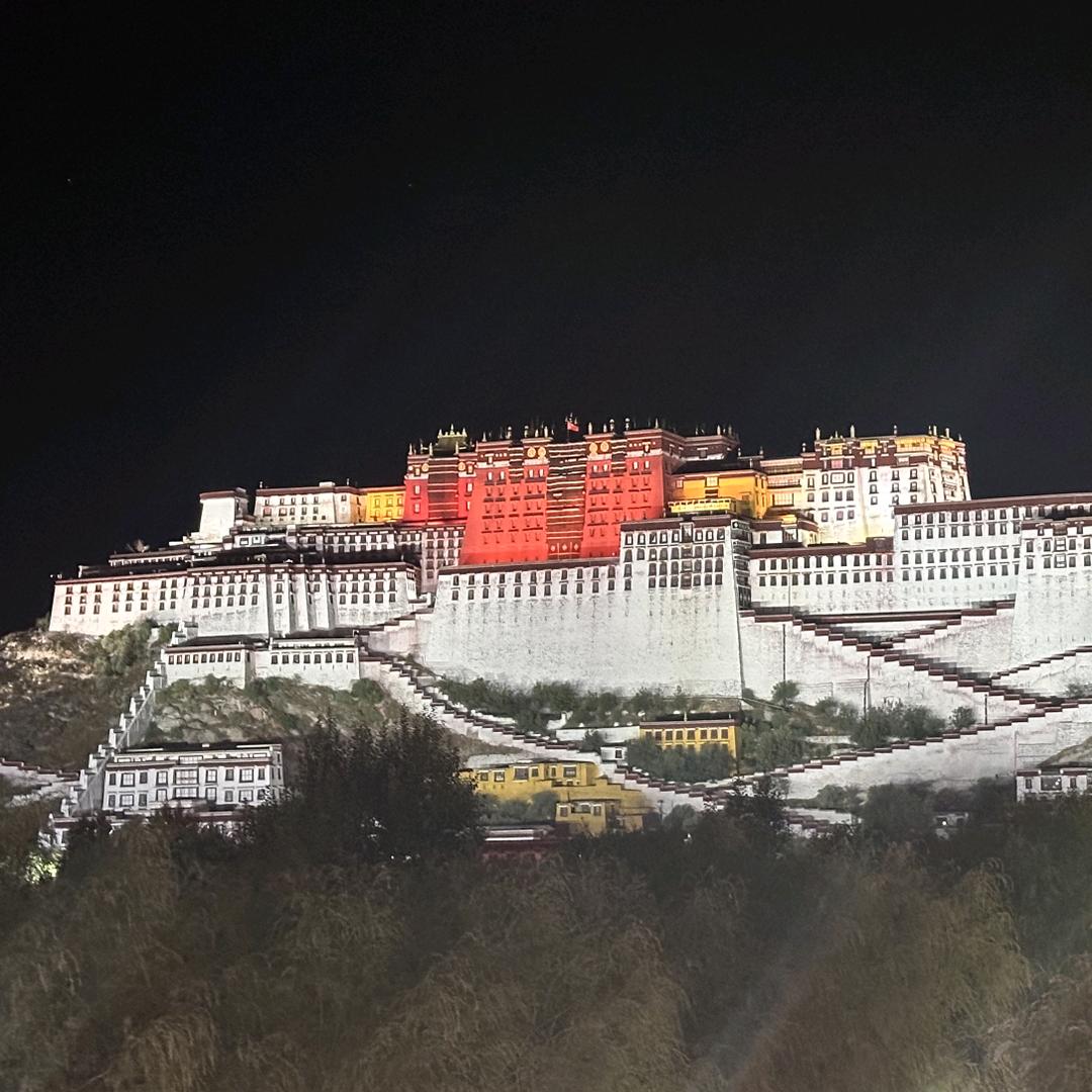 随风的弦