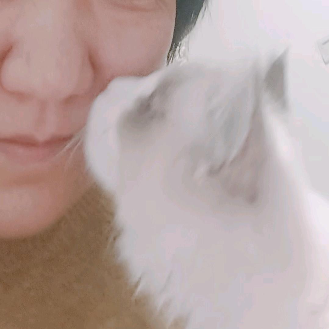 华华爱唱歌