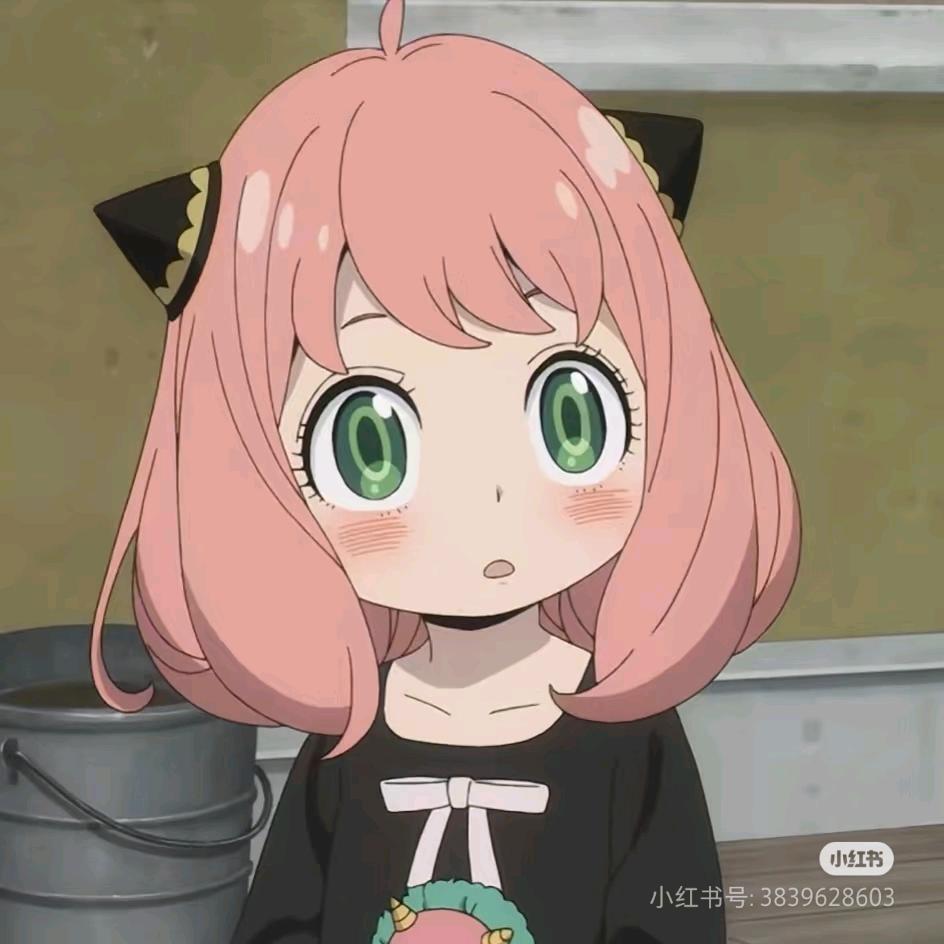 贝贝