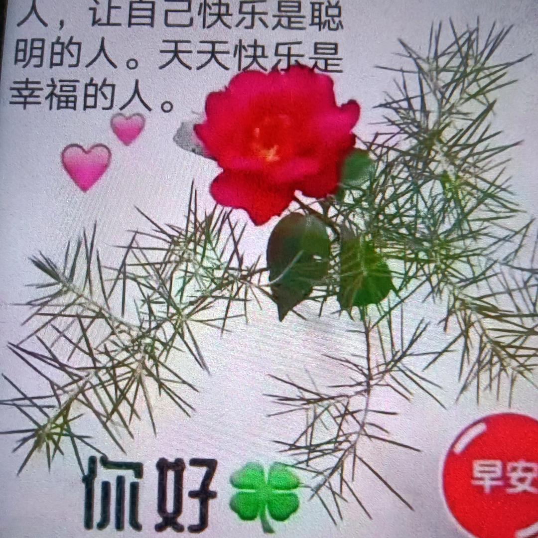 夕阳美，