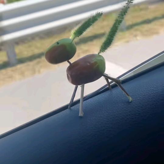 泡八喝九说十话