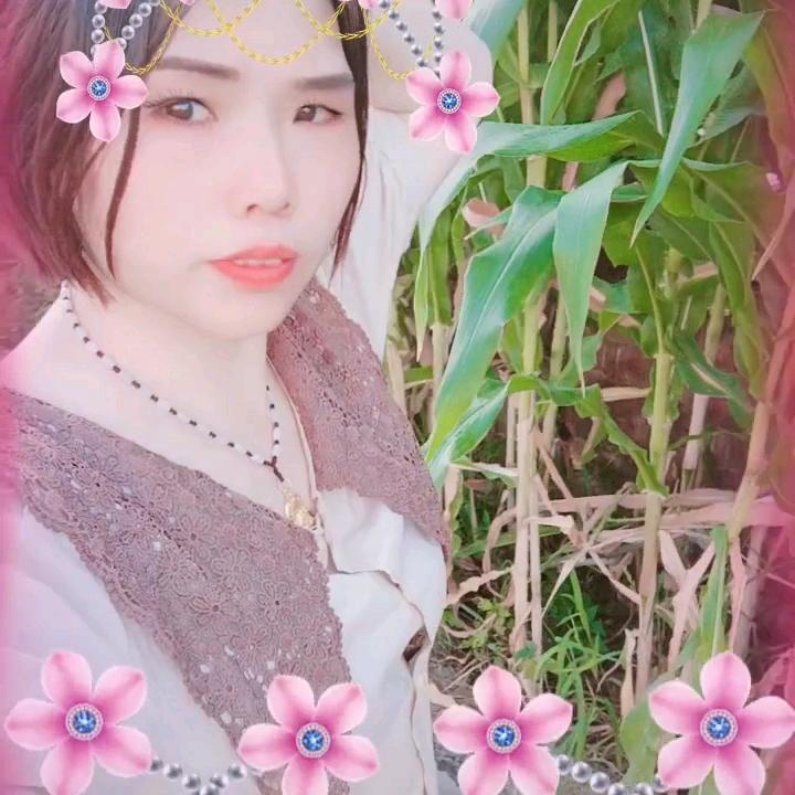 我喜欢的是什么