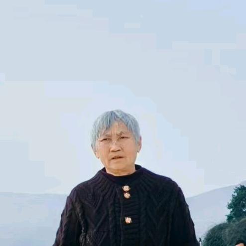 郑家琴
