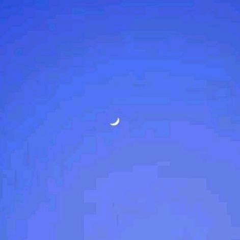 减压小游戏亲子益智小游戏(海世界)有实物