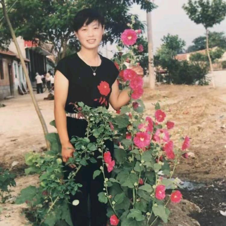 梅拒私聊