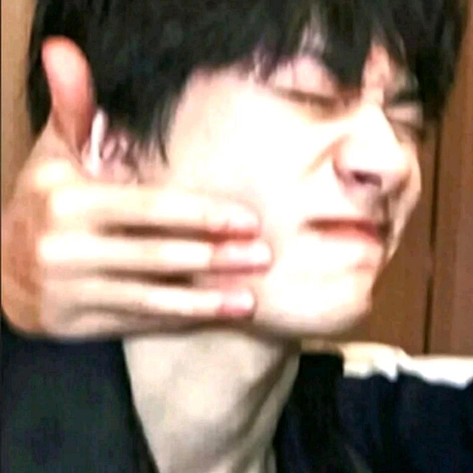 蛋蛋后的土松犬舍