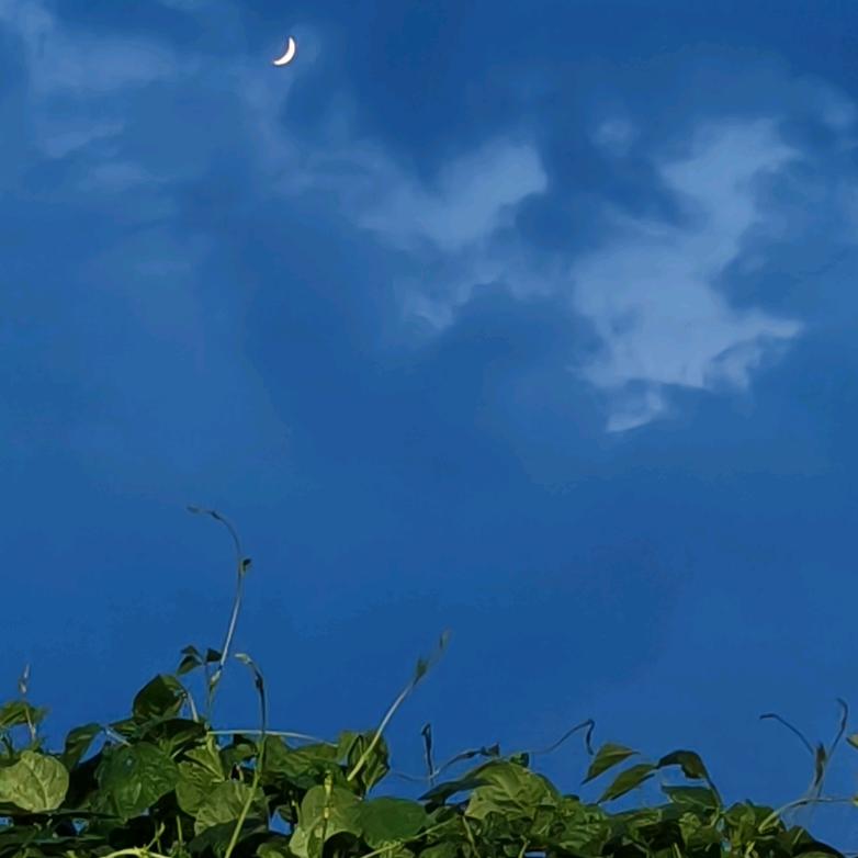 酒瓶