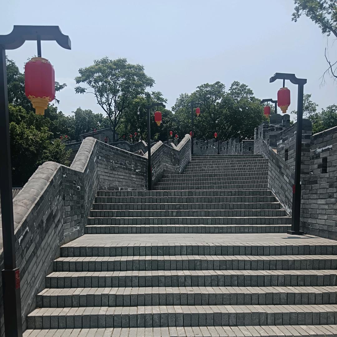 老王爱唱歌