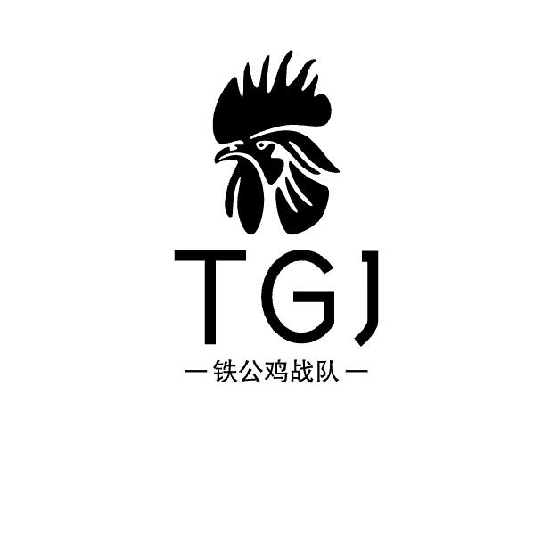 铁公鸡战队(小伊)