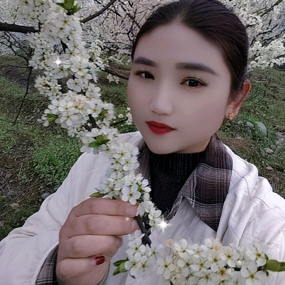 小梅种植专业合作社