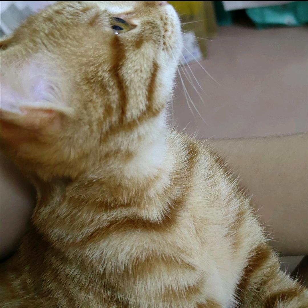 🌈丢丢•᷄ࡇ•᷅