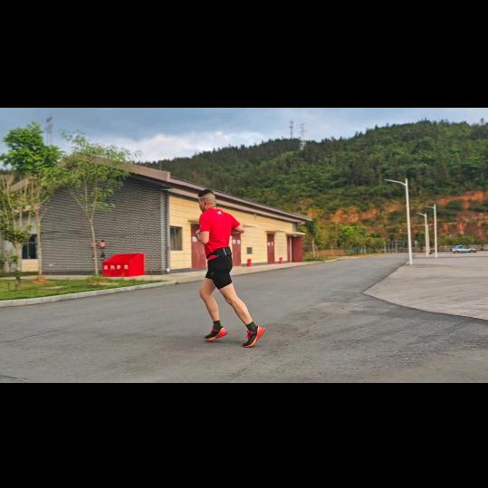 火腿煮子