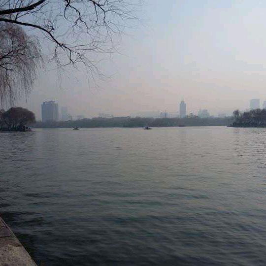 风中之竹头像