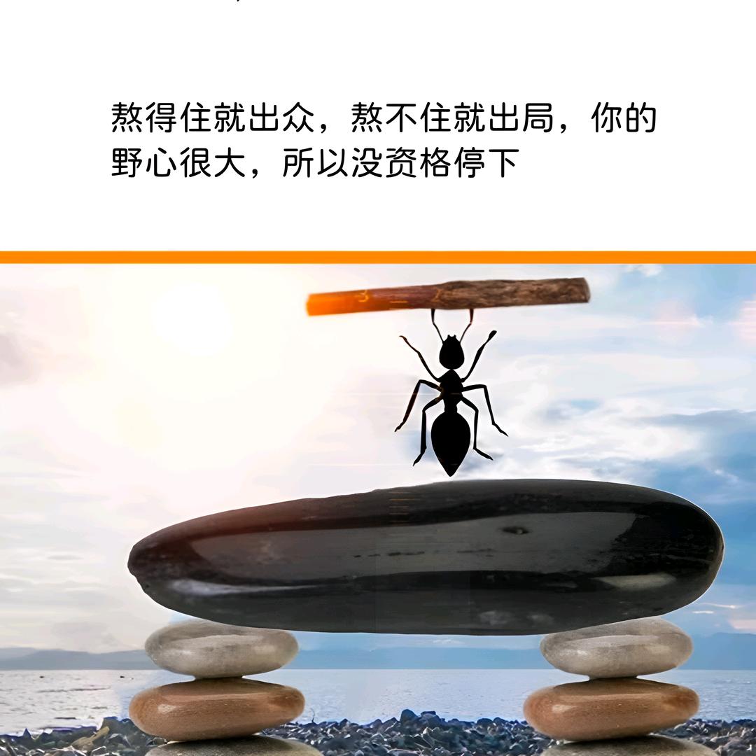 肖💐憨💐憨