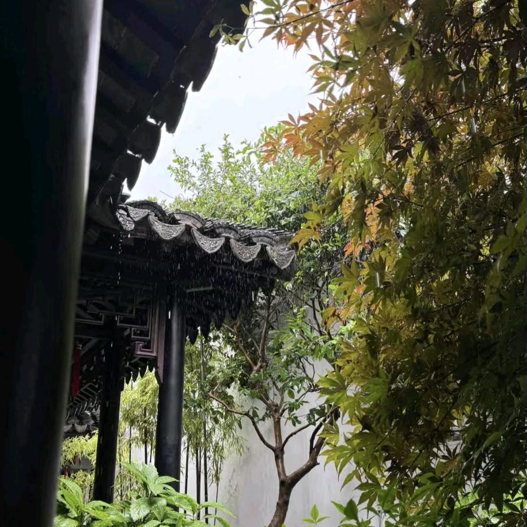 道义