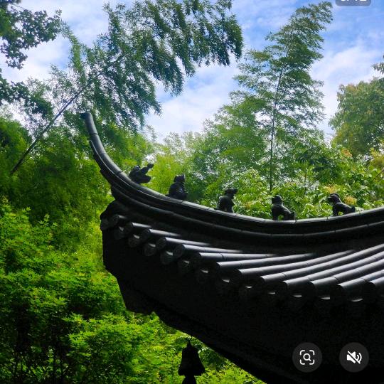 方净居士