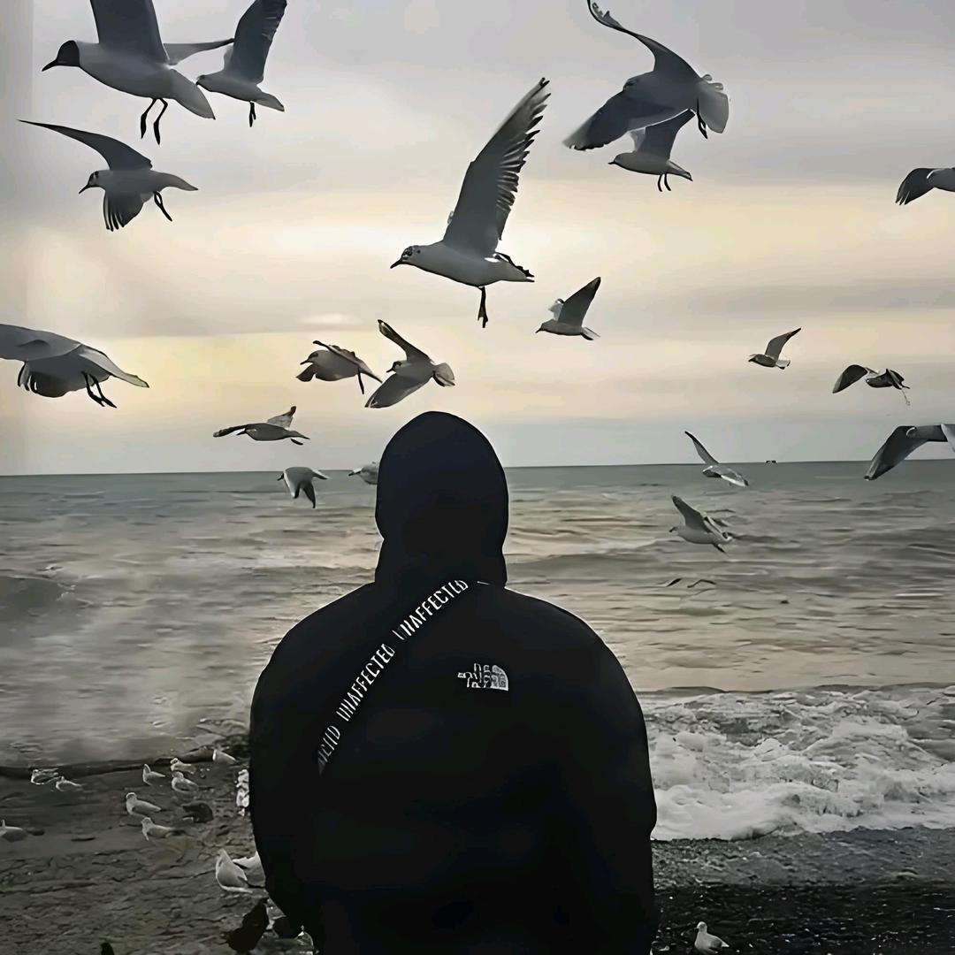 天道🖤