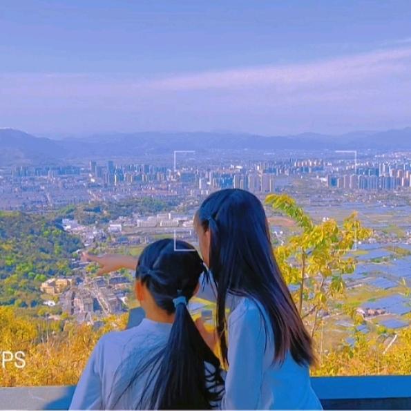 @没长❤️的海燕