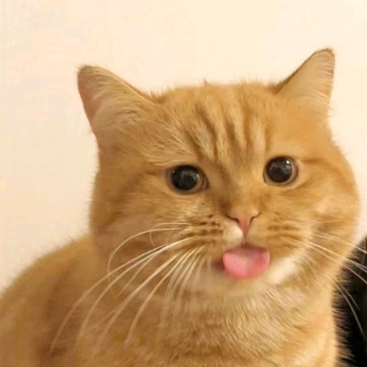 每天……