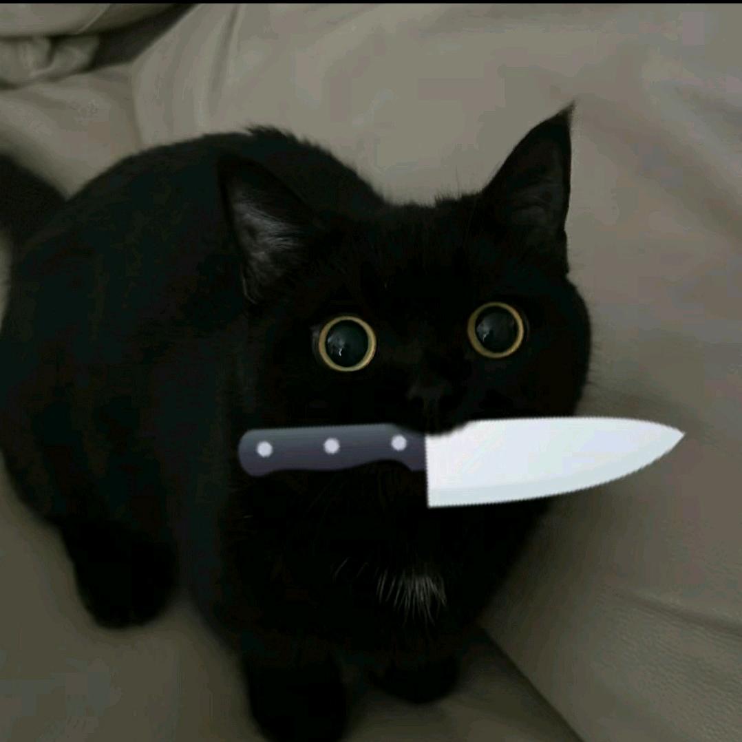 鋰猫鼐（nài）