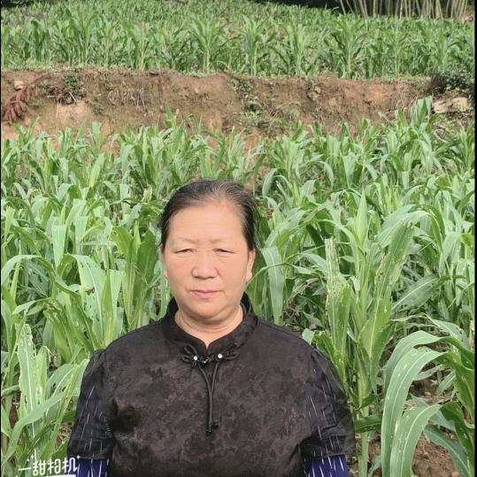 红二姐晚上8:10开播