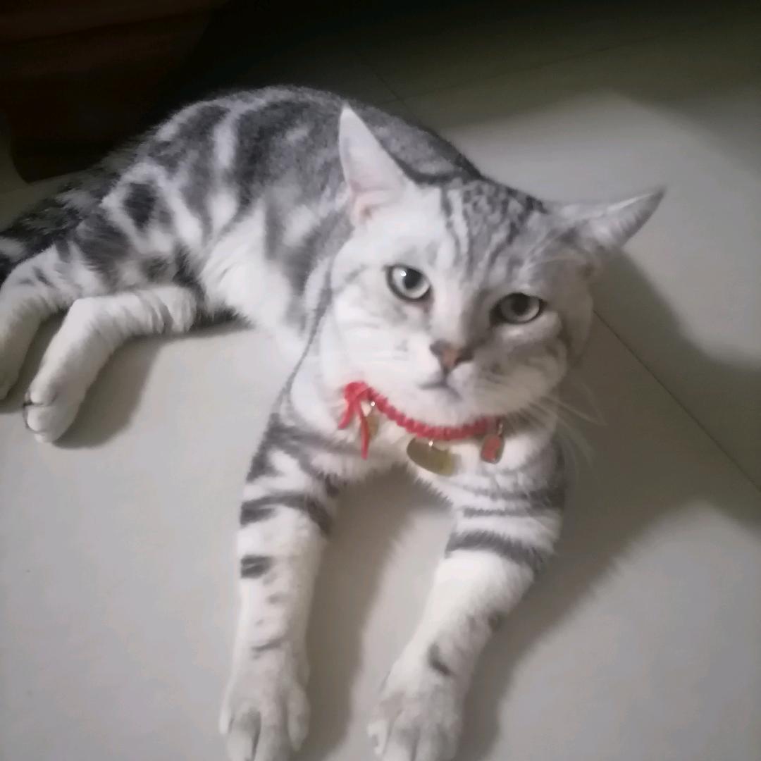 肥仔变瘦了