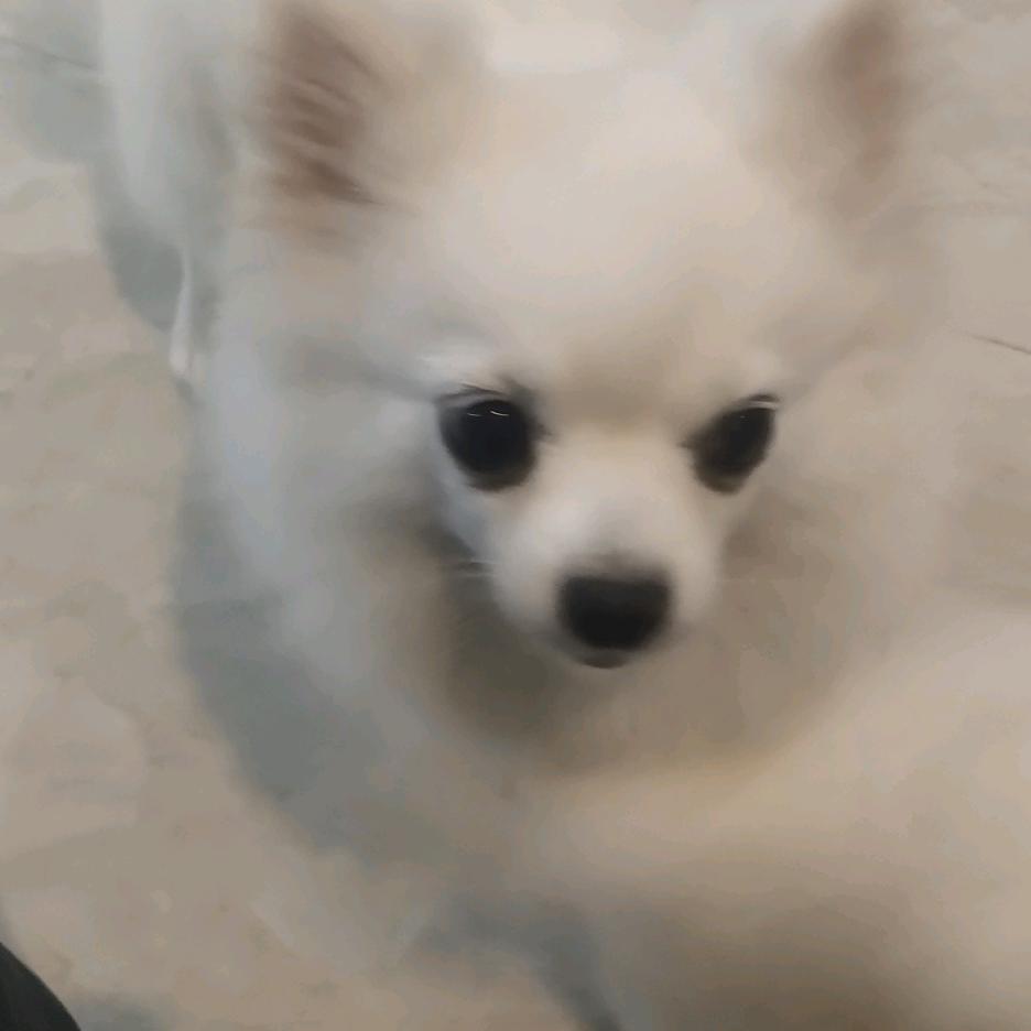 春暖花开@🐝🍀