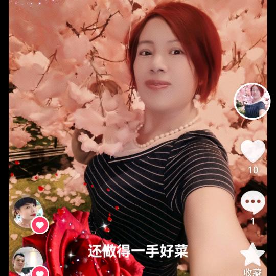 飞燕，加油