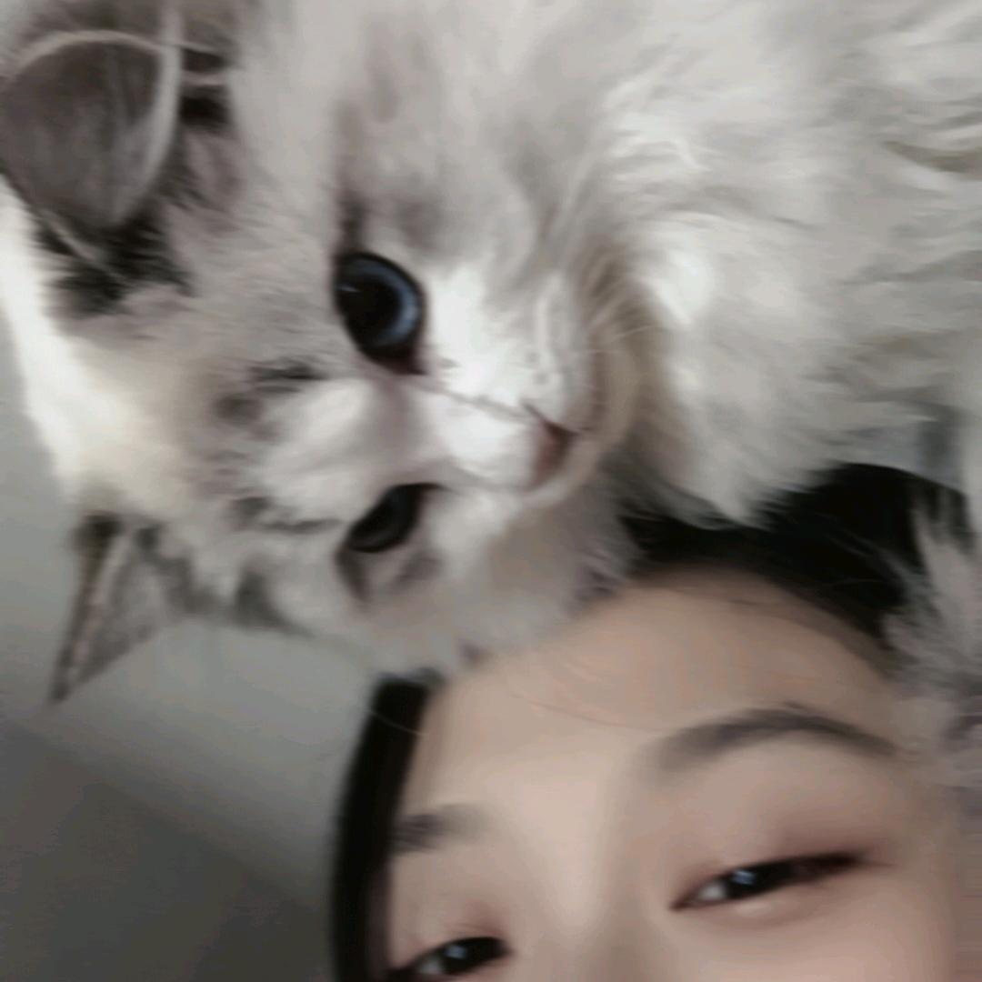 月色很美