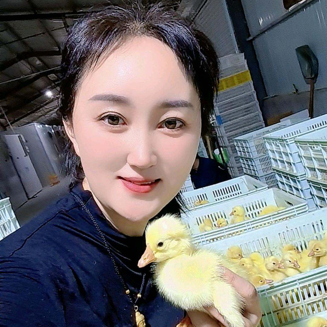 沭阳县亿翔孵化场