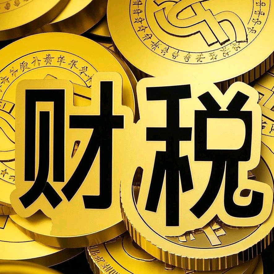 财税江博士