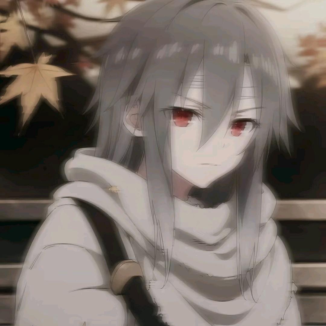 舟舟态