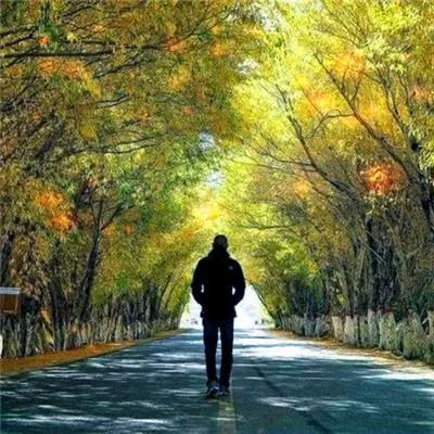 ＆天涯赤子心＆