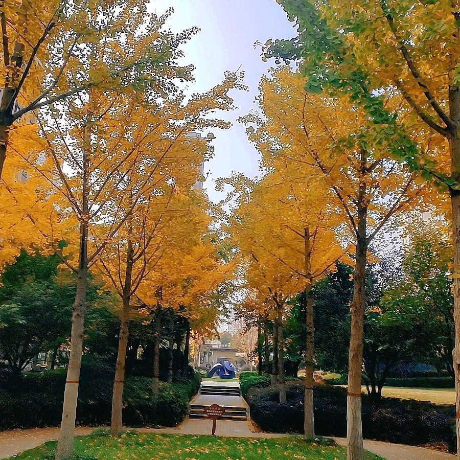 溪溪来了