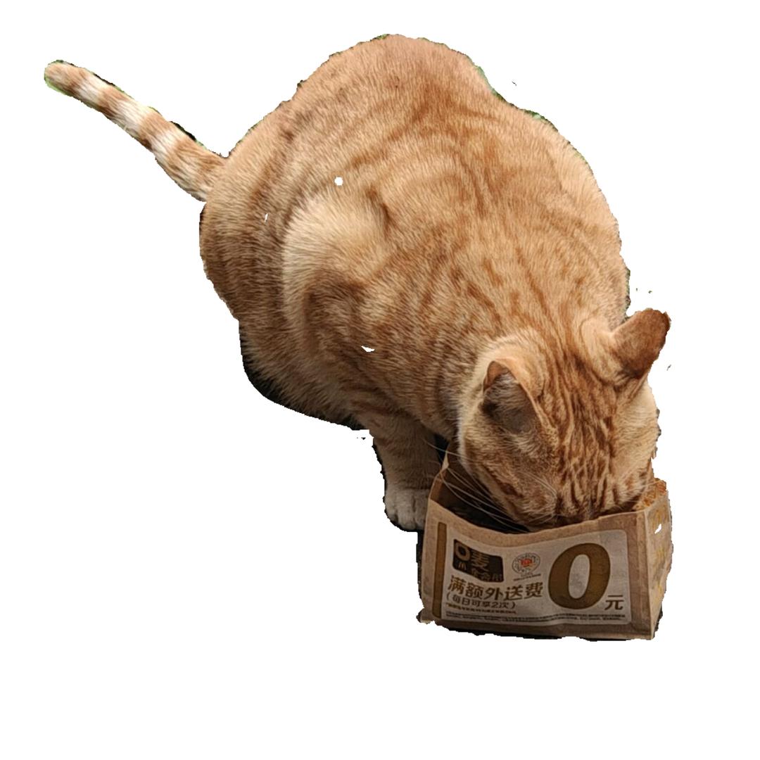 平静的橘黄色充电器2752