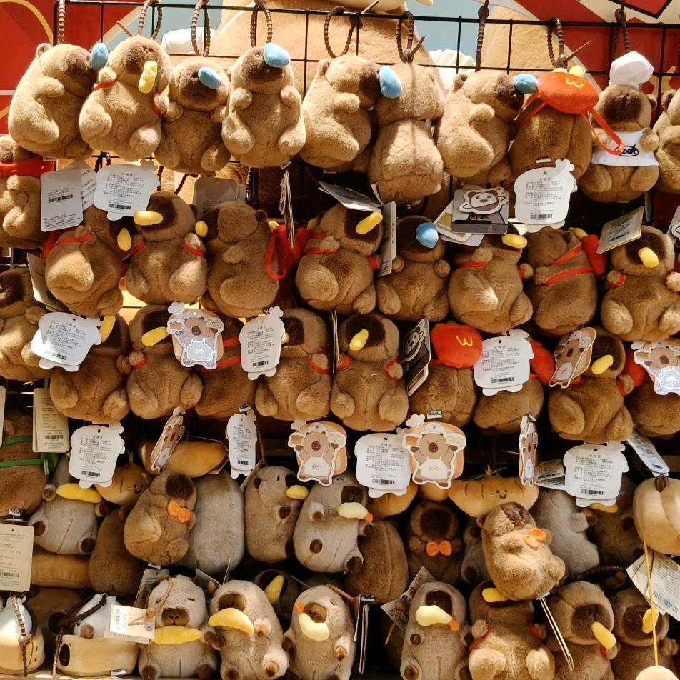 晴天雨天ʕᵔᴥᵔʔ☀️