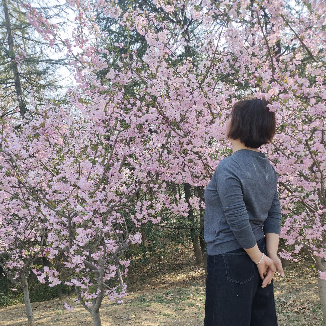永城膨化机爆米花机工厂店