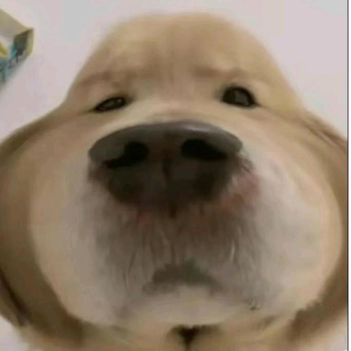 en不是嗯