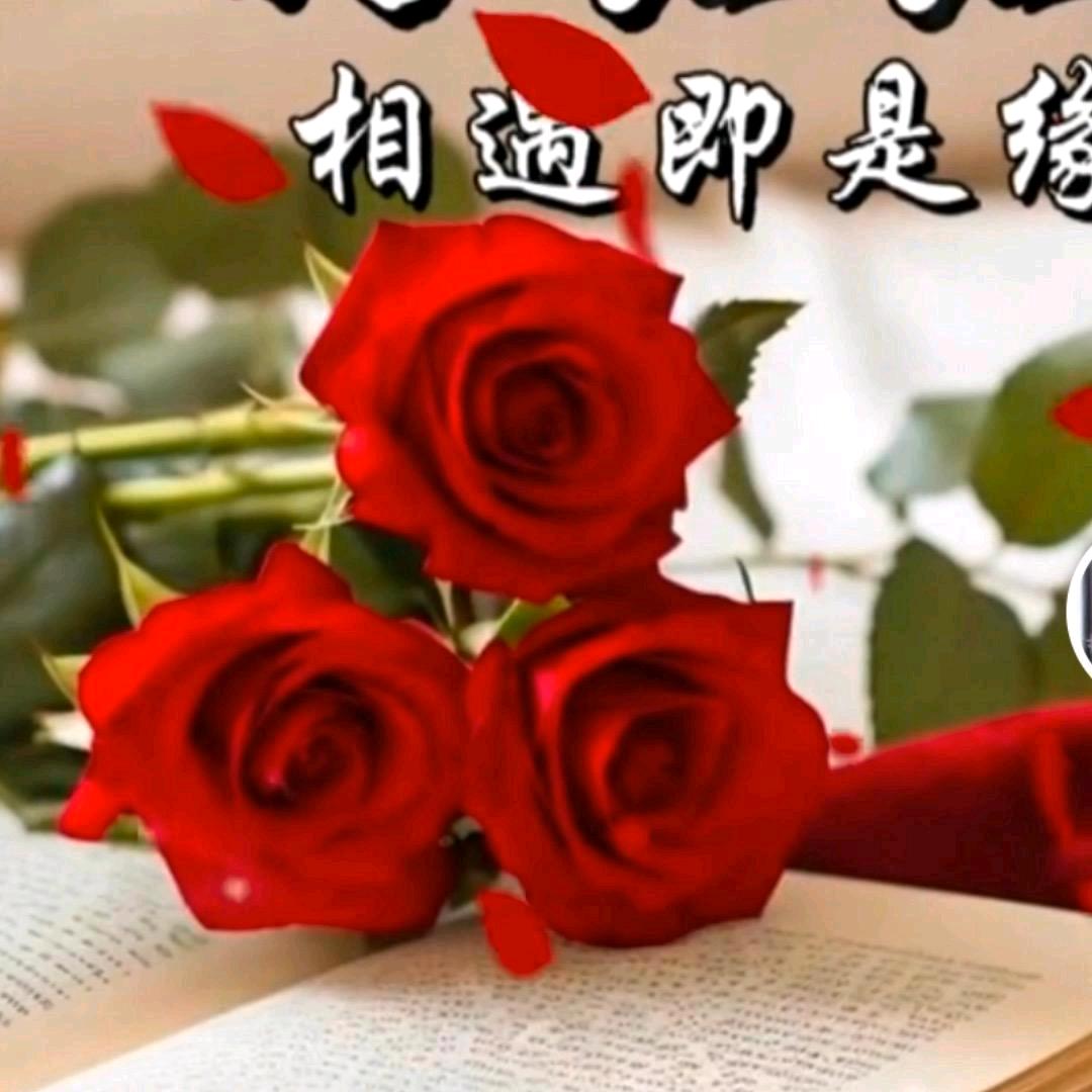 《缘分相遇》