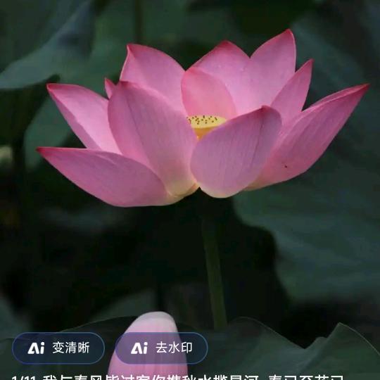 丁伟