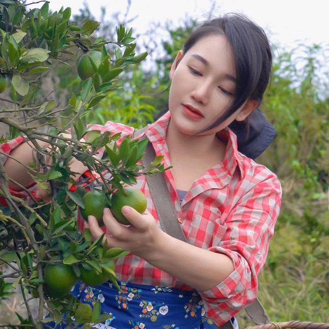 @湾湾的日常生活