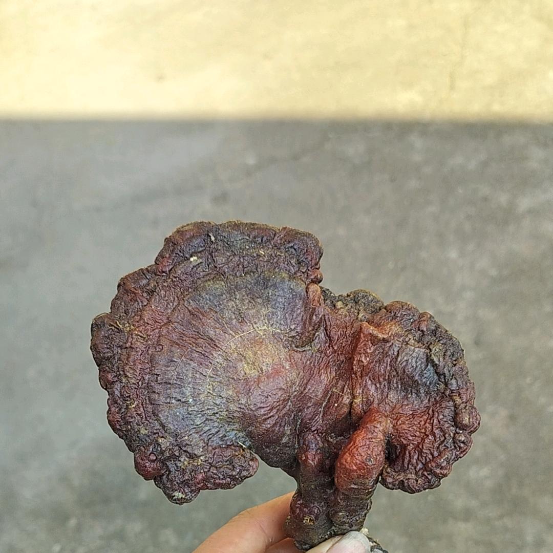 （糖心何包蛋）