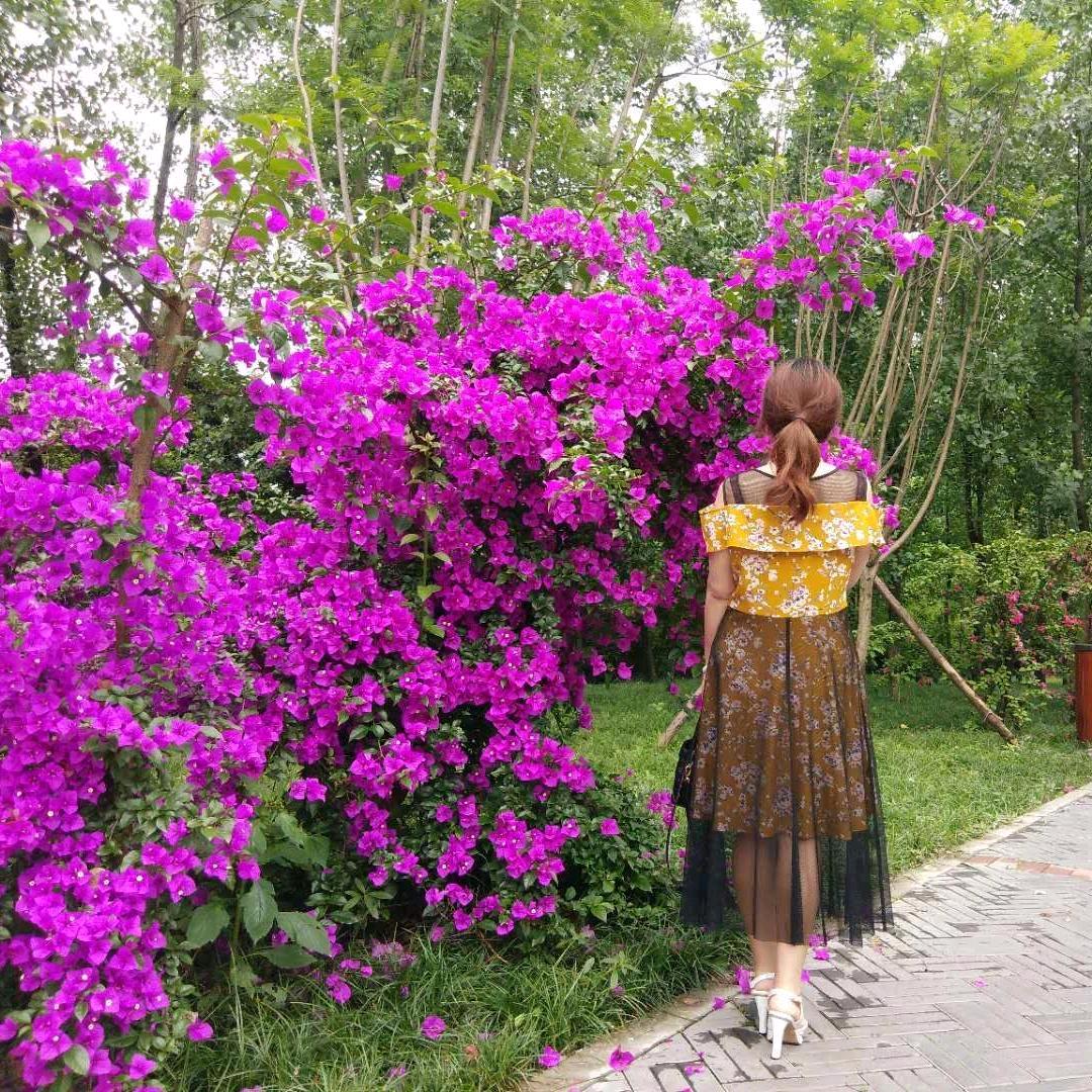 芳芳幺妹