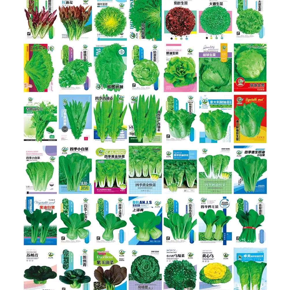 蔬菜花卉园林绿化种子