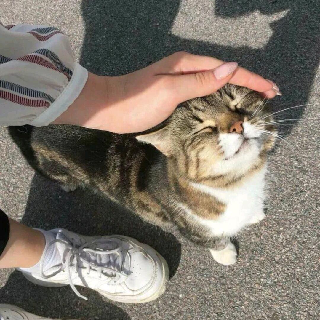 想睡个好觉.