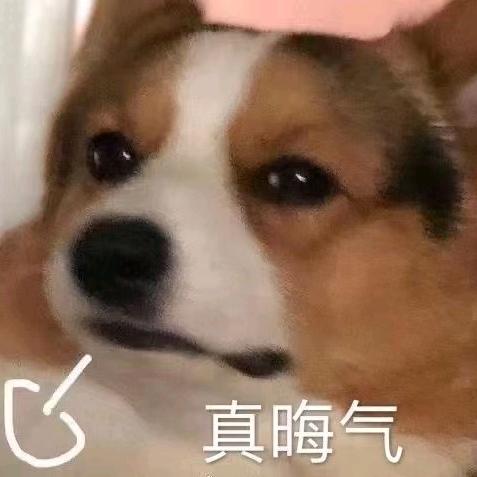 抖音丶火焰鼠