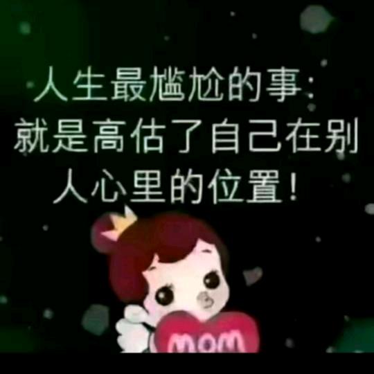 心🌹🌹归零